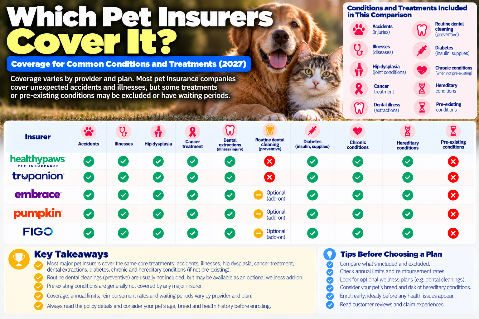 acl ccl surgery guide from PawCoverGuide