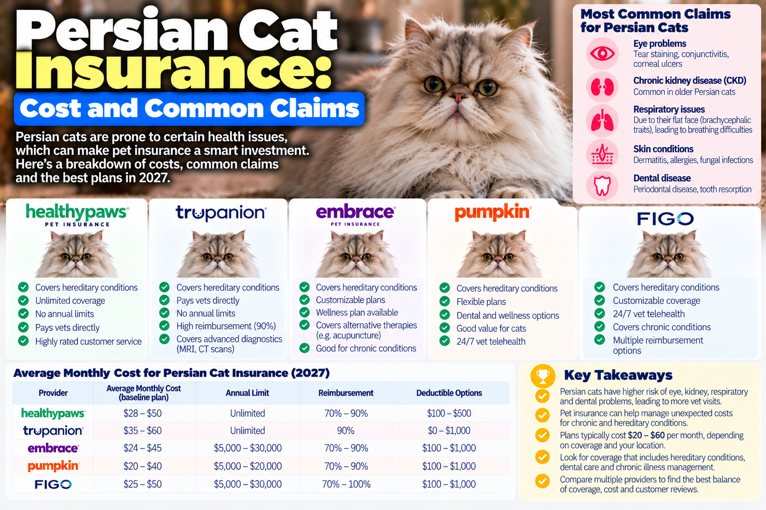 persian cat insurance guide from PawCoverGuide