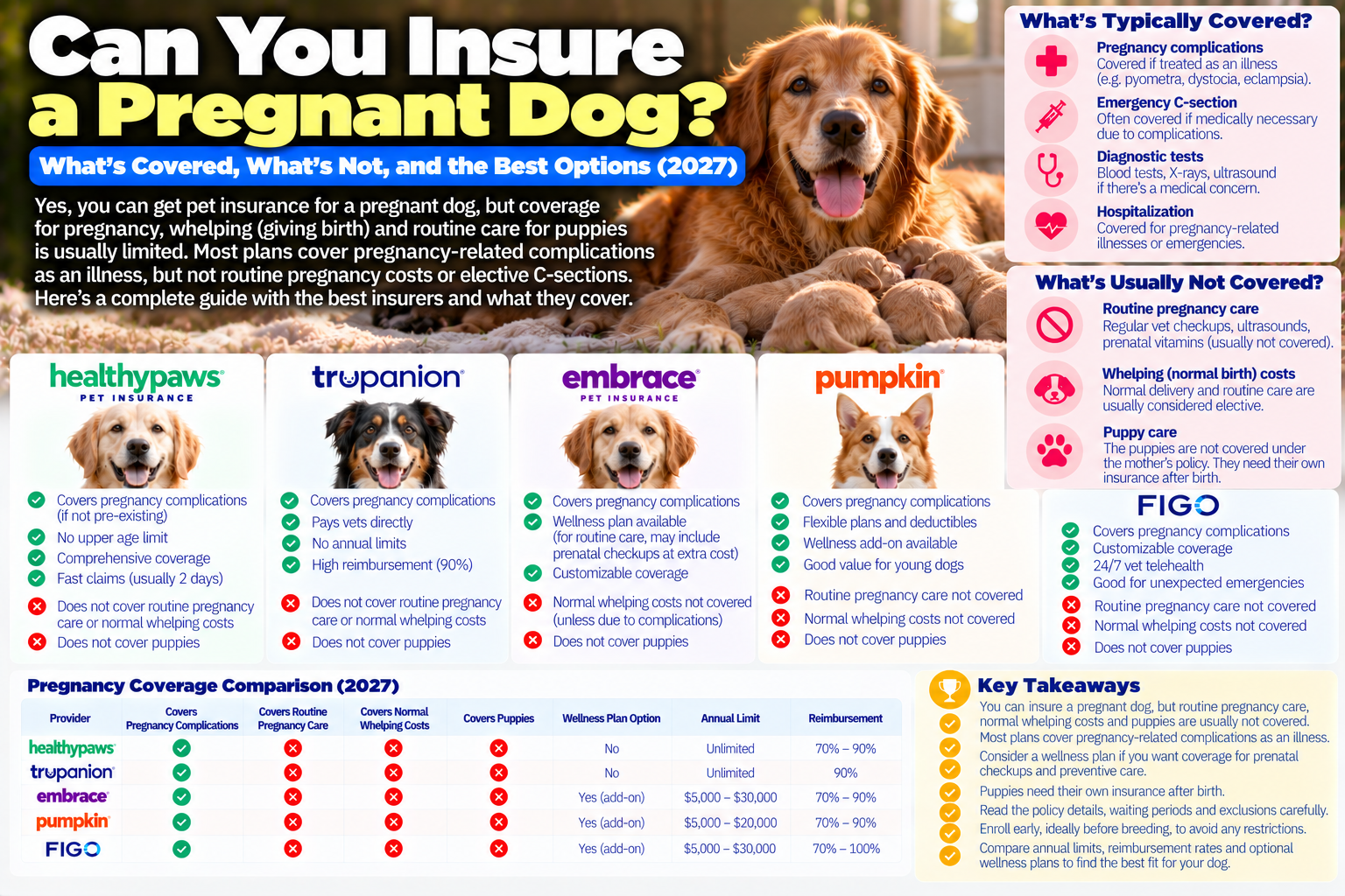 insure a pregnant dog guide from PawCoverGuide