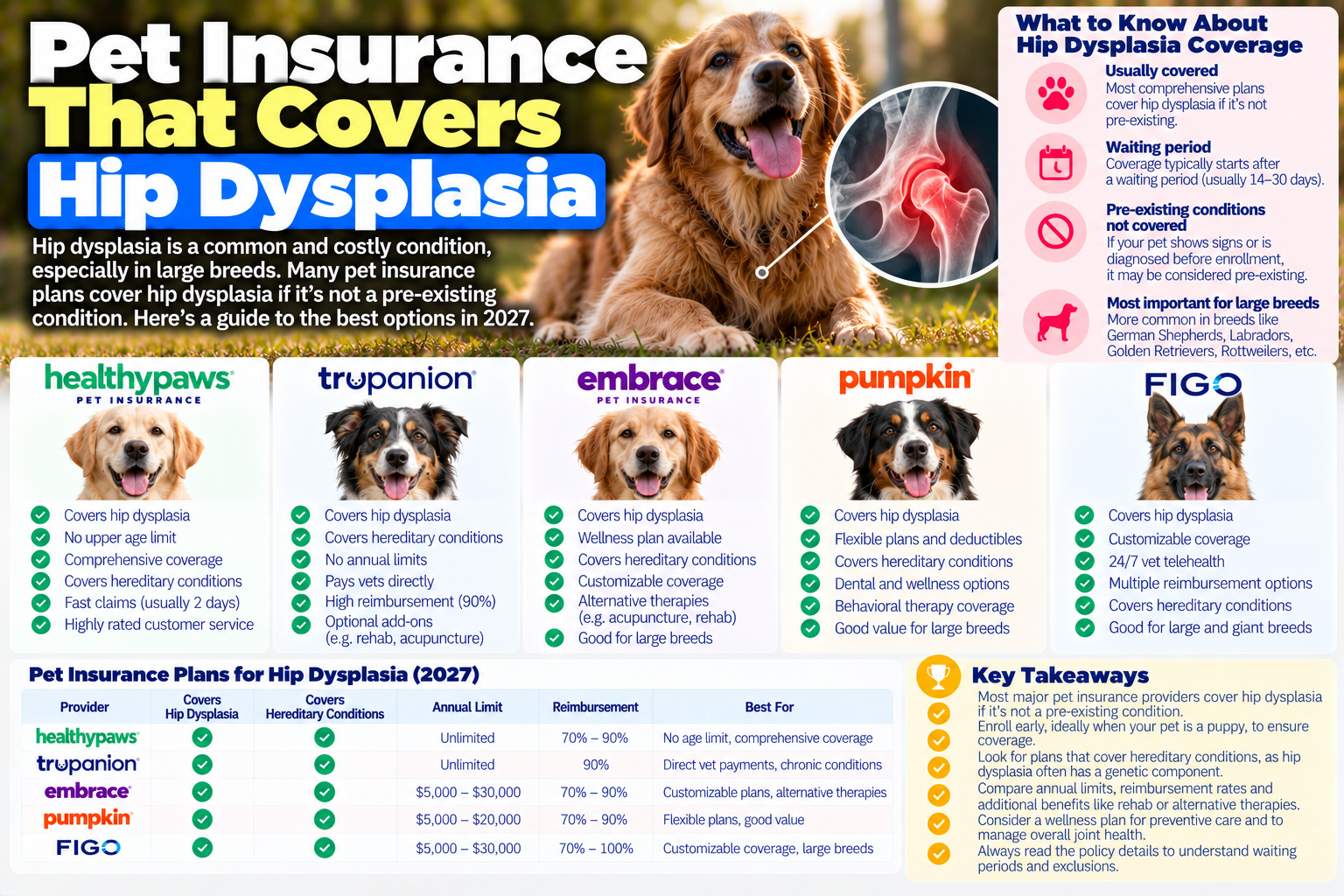 insurance that covers hip dysplasia guide from PawCoverGuide