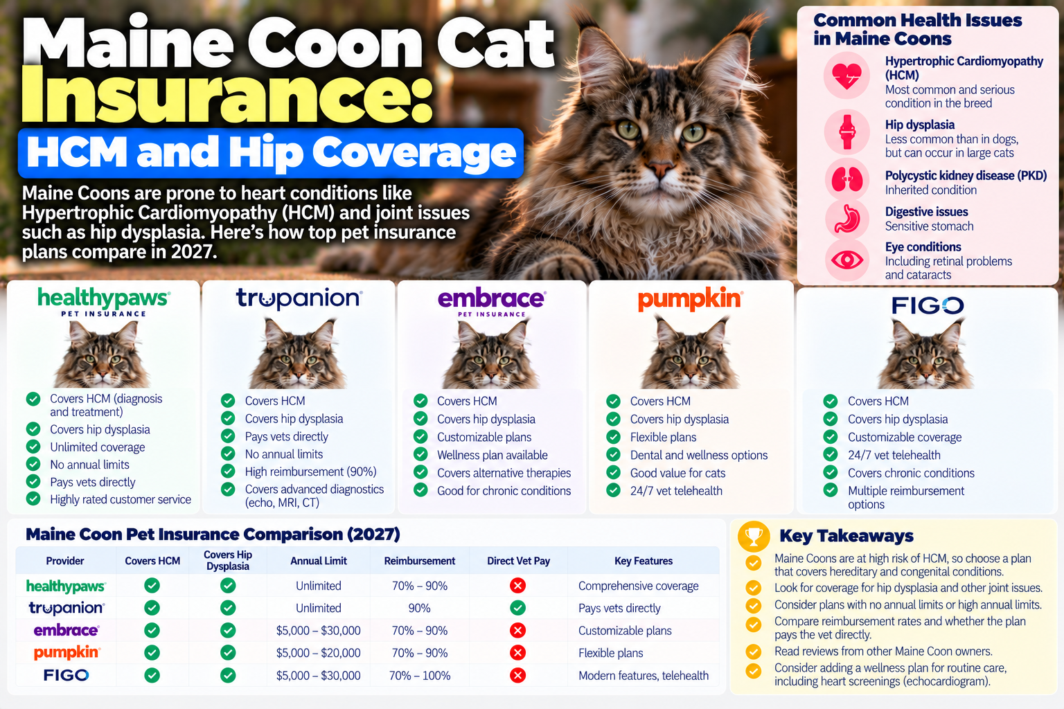 maine coon cat insurance guide from PawCoverGuide