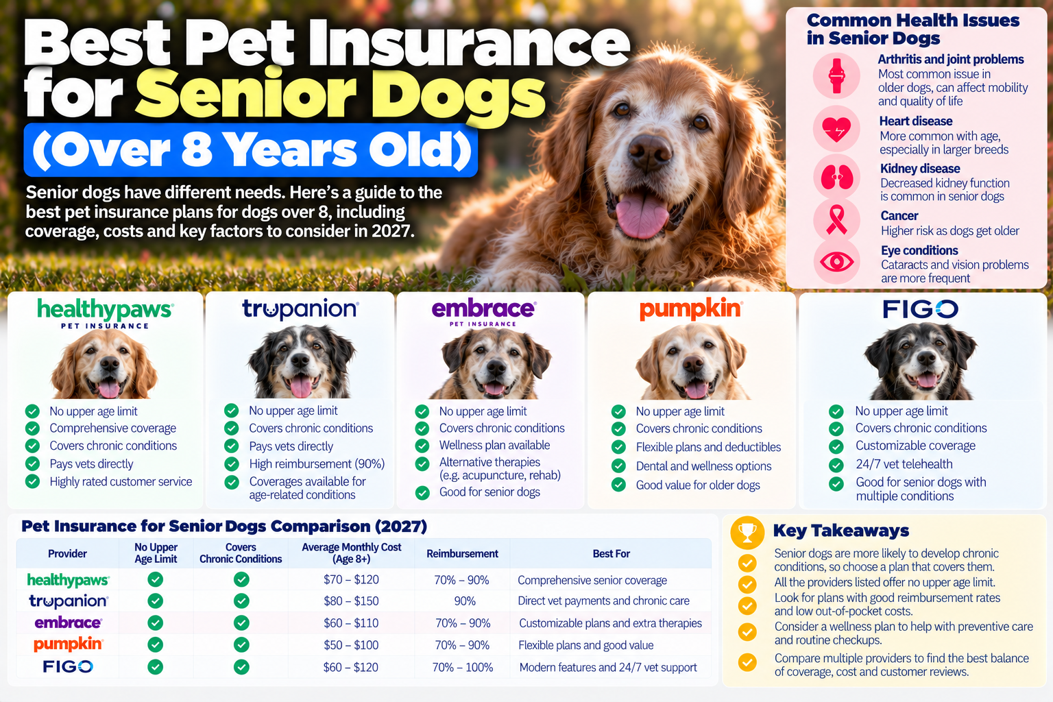 pet insurance for senior dogs guide from PawCoverGuide
