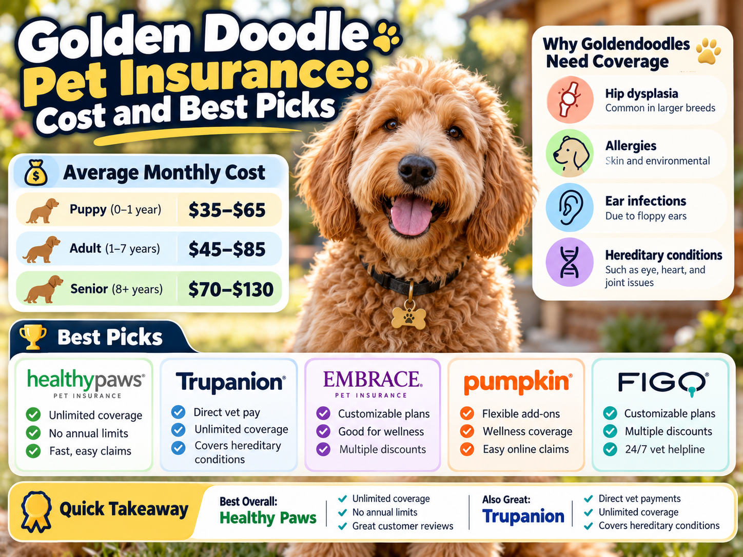 goldendoodle pet insurance guide from PawCoverGuide