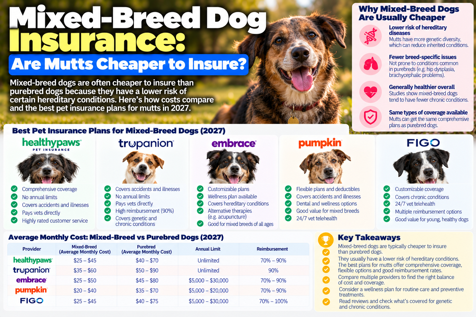 mixed-breed dog insurance guide from PawCoverGuide